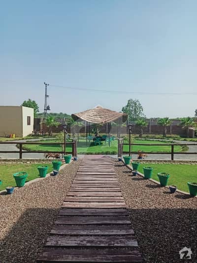 Farm House Is Available For Sale Farm House Is Available For Sale