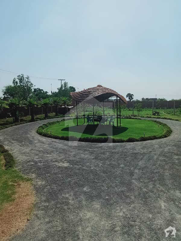 4 Kanal Farm House Is Available For Sale 4 Kanal Farm House Is Available For Sale