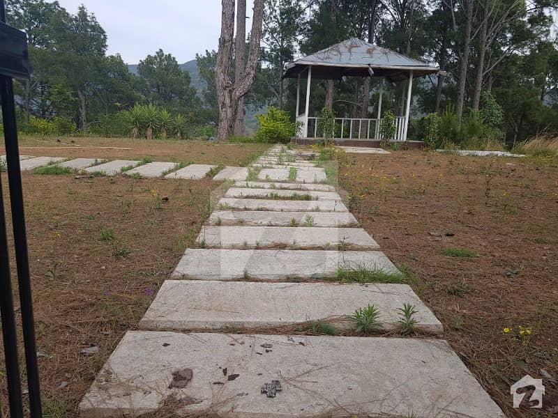Residential Plot Are Available For Sale In New Murree