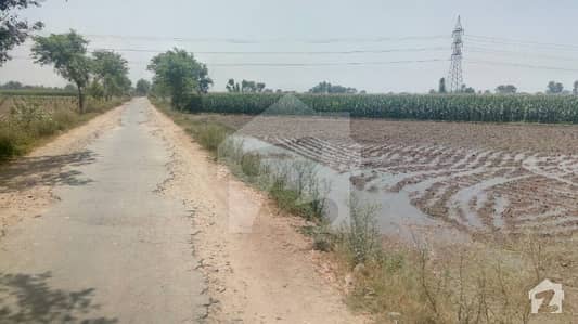 بہادر پورہ دیپال پور روڈ قصور میں 3 کنال زرعی زمین 45 لاکھ میں برائے فروخت۔