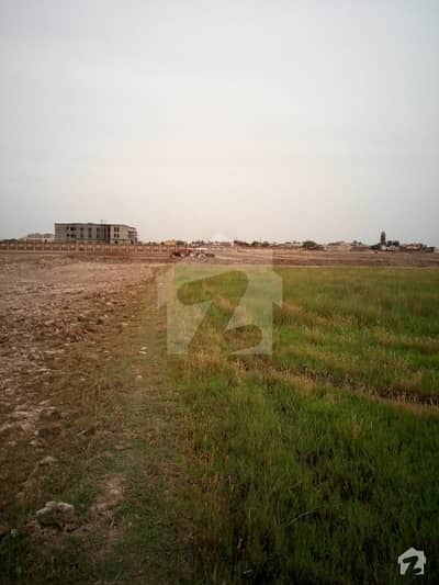 5 Acre Of Agricultural Land Behind The University Of Narowal.