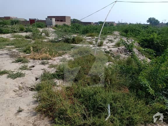 Plot Is Available For Sale In Madina Town