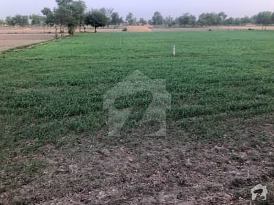 10 Acre Agricultural Land Is Available For Sale On Main Haroon Abad Road