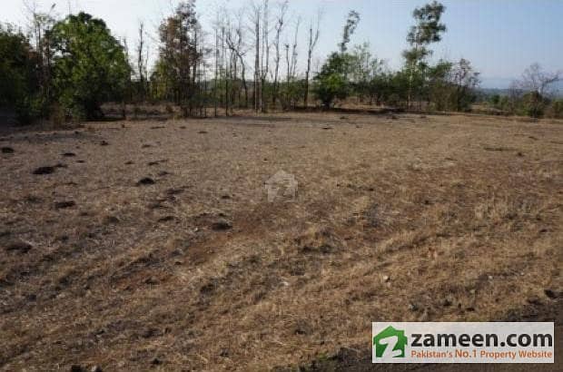 48 Acre Fully Agricultural Land For Sale At Jarranwala - Best For Investment
