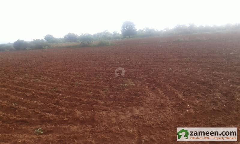 Agriculture Land Is Available For Sale
