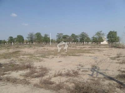 80 Acre Agriculture Land For Sale At Bahawalnagar To Chishtian Road