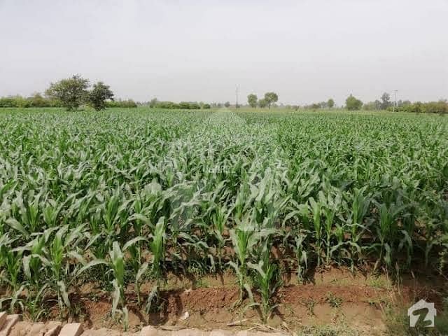 20 Acre Agricultural Land For Sale On Alipur - Uch Sharif Road