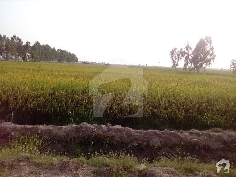 لاہور - اسلام آباد موٹروے لاہور میں 2000 کنال زرعی زمین 37.5 کروڑ میں برائے فروخت۔