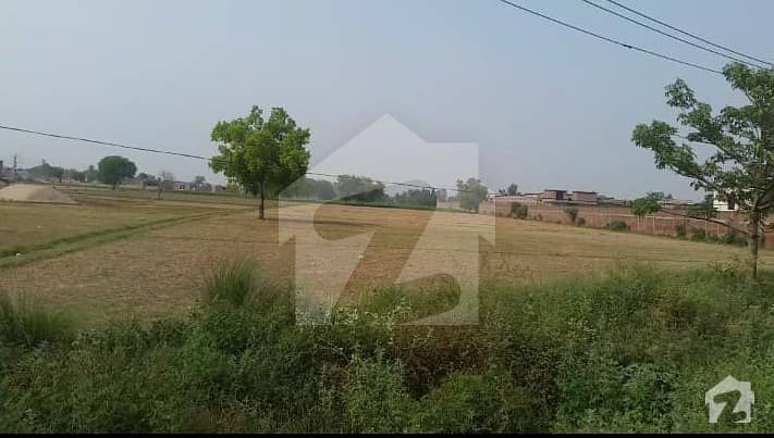 لاہور - جڑانوالا روڈ لاہور میں 120 کنال زرعی زمین 52.5 کروڑ میں برائے فروخت۔