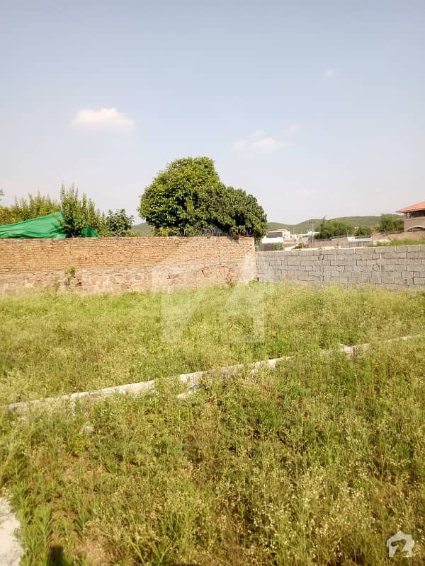 7 Marla Plot Available For Sale In Bani Gala Near To 1 Kelo Meter  Imran Khan Chock