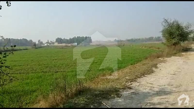 375 Acre Single Owner Land Near Burewala