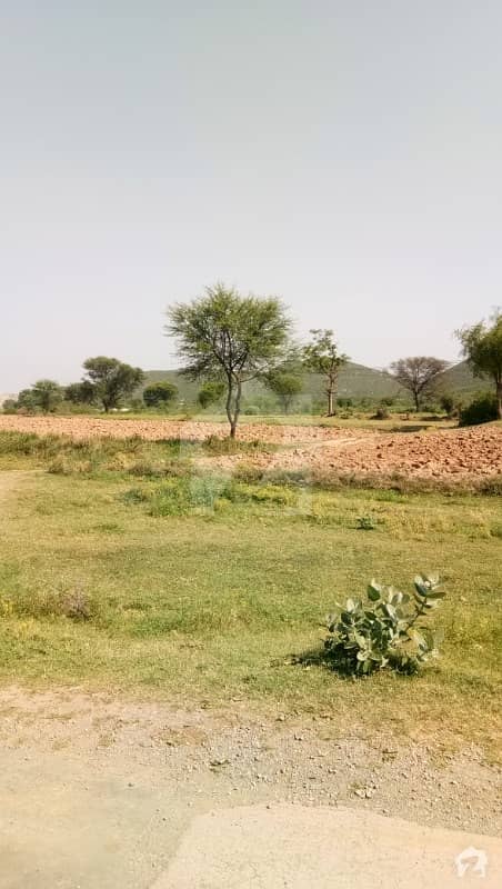 100 Acre Well Developed Land Nawan Kot Layya