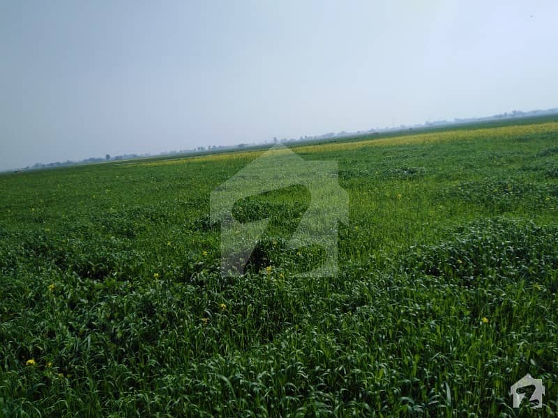 18 Kanal Agricultural Land For Sale In 46-km Muridke Narowal Road Nia Manga, Main Road