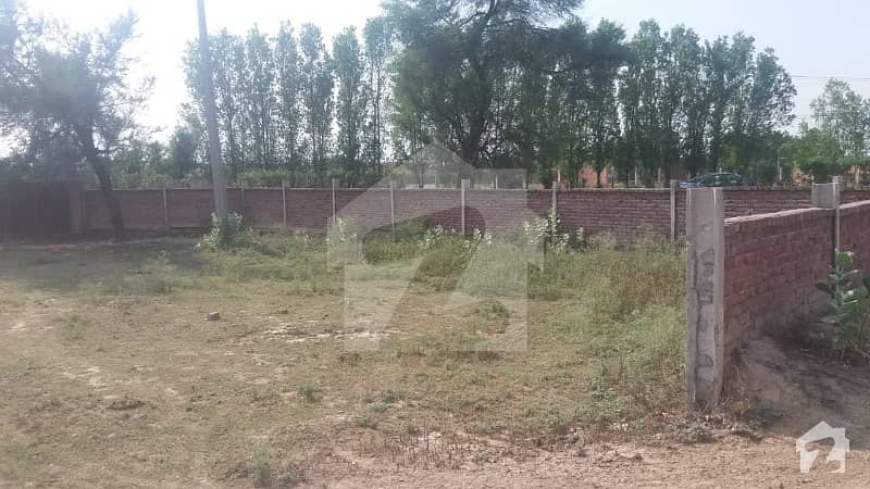 لاہور - قصور روڈ لاہور میں 1 کمرے کا 64 کنال فارم ہاؤس 12 کروڑ میں برائے فروخت۔ لاہور - قصور روڈ لاہور میں 1 کمرے کا 64 کنال فارم ہاؤس 12 کروڑ میں برائے فروخت۔