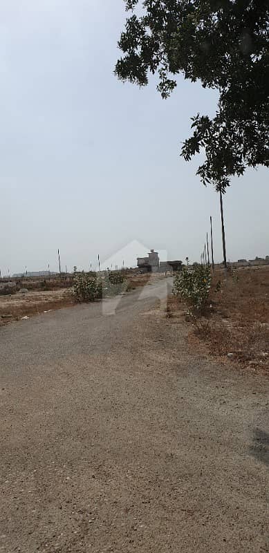 Plot Is Available For Sale In Gulshan E Roomi