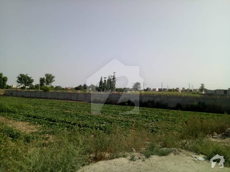 Agricultural Land Is Available For Sale On Expressway Canal Road