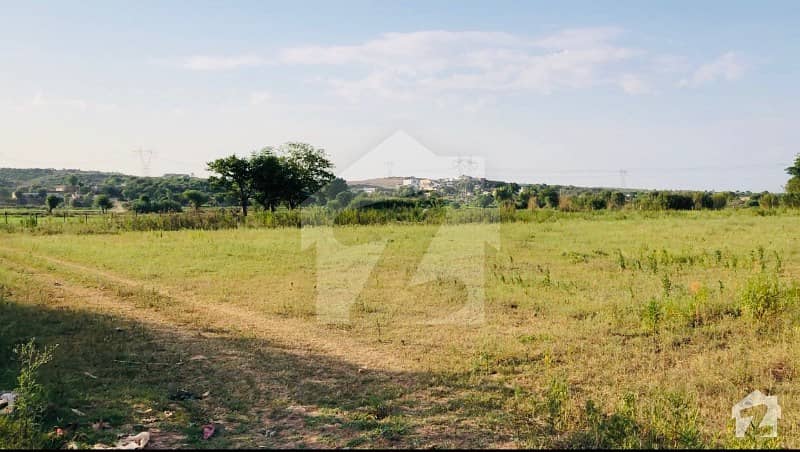 Agricultural Land For Sale