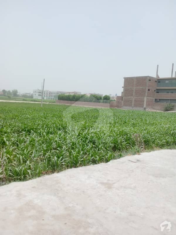 2 Kanal Plot For Sale Behind The Educators Gulshan Iqbal Khanpur