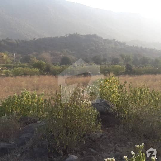 24 Kanal Farm House Land For Sale In New Airport Town Rawalpindi