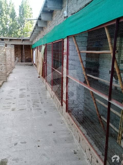 تارو جبہ پشاور میں 1.5 کنال گودام 1 کروڑ میں برائے فروخت۔