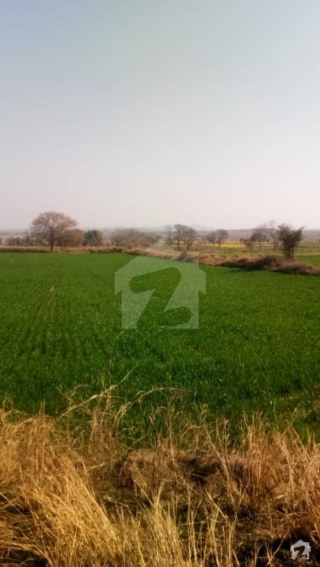 1250 Acre Agriculture Land Nehri Pani