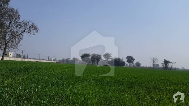 10 Acre AgriculturalIndustrial Land At Balloki Power Plant