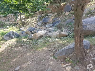 9000  Square Feet Commercial Plot Available For Sale In Kalam