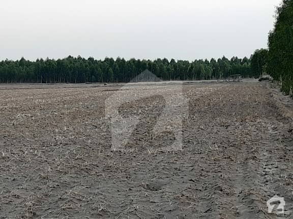 100 Acre Agriculture Land Available For Sale In Jandanwala Bhakkar