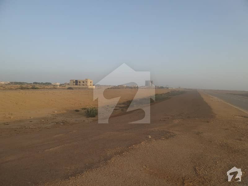 Dha City 1000 Yard Residential Plot For Sale  In Dha City Karachi