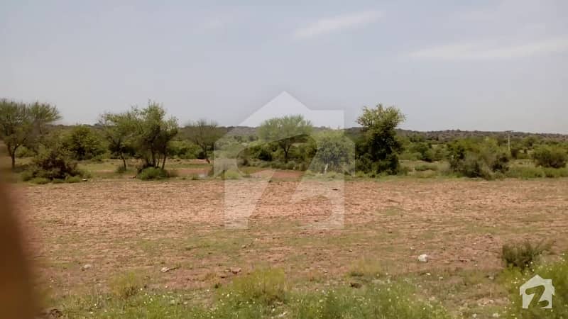 Prime Location Land For Agro Project Sale Near Chakri Interchange At Investor Rate