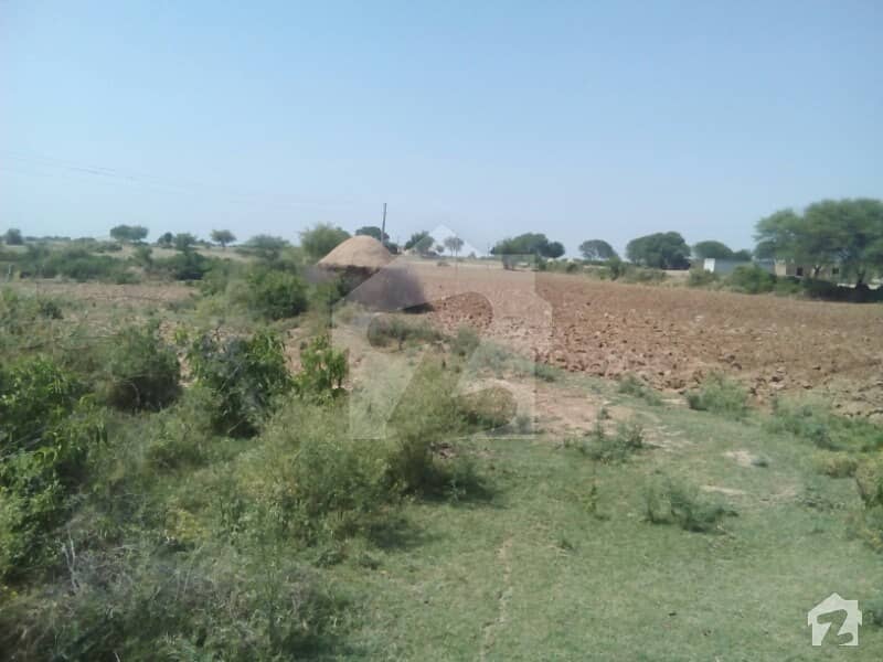 تھالیاں انٹرچینج راولپنڈی میں 105 کنال زرعی زمین 4.7 کروڑ میں برائے فروخت۔