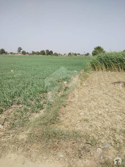 Agricultural