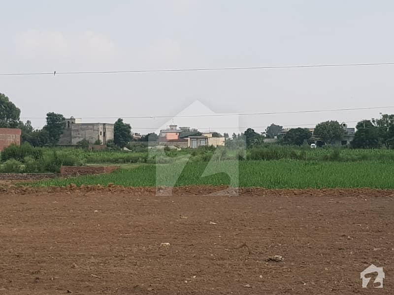 63 Marla Plot Is Available For Sale In Bhago Wall Road Sialkot