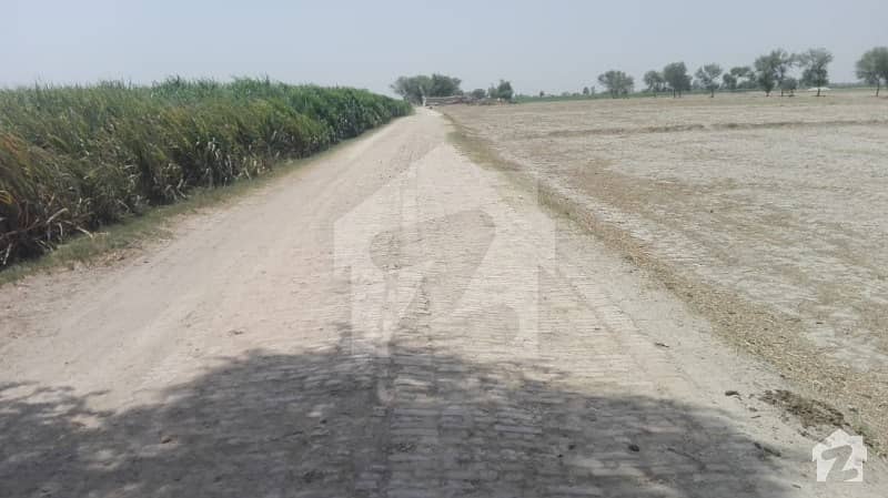 65 Acre Agriculture Land Near Jhang City Beautiful Level Land