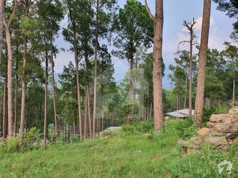 1 Kanal Valley View Plot In Murree Resorts Angori Road Lahore