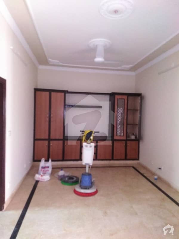 6 Marla Single Storey House For Rent