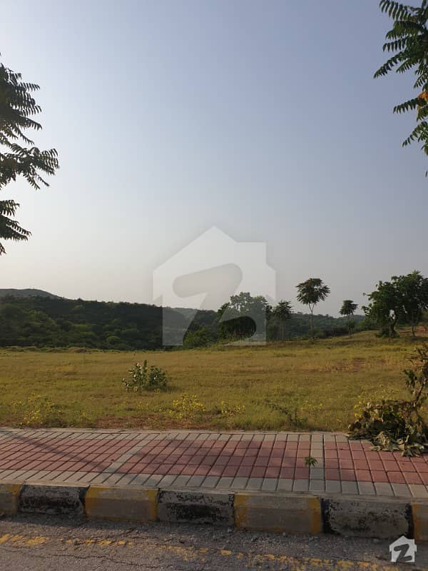 The Unmatched Beauty Of Dha Phase 3 The Beautiful Location South face 1 Kanal Plot At Very Reasonable Price