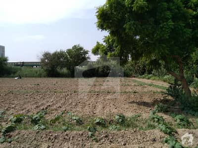40 Acre Ready Made Garden Near Bhains Colony Karachi