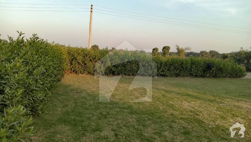30 Acres  Land Is Available For Sale  Chak#144 Ml, 5 Kms Away From Main Chowk Sarwar Shaheed - Daira Din Panah Road