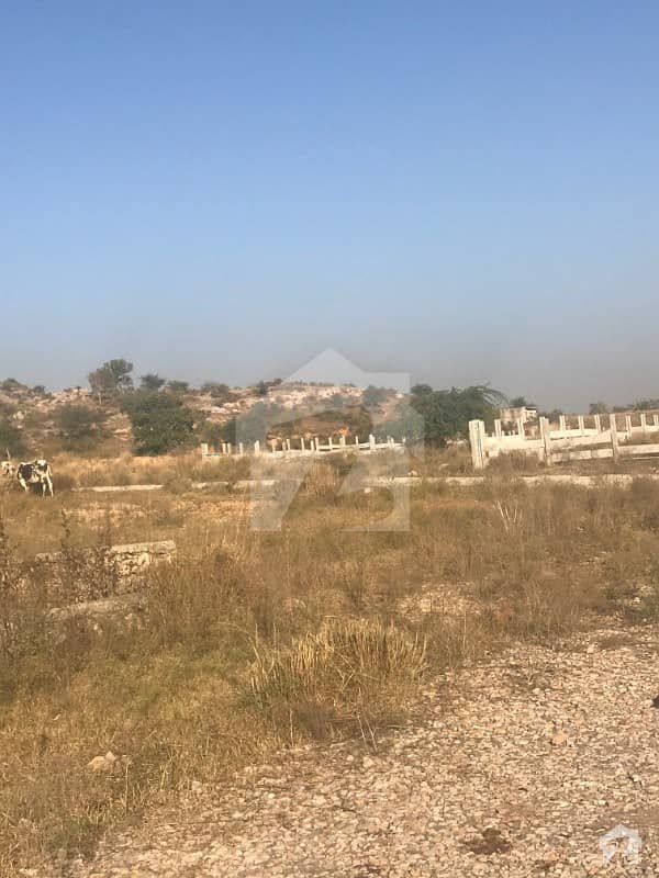 Plot For Sale On PMO Road Backside Of Taxila Museum