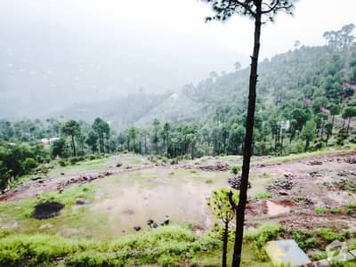 5 Marla Plot For Sale Urgent 5 Marla Plot For Sale Urgent