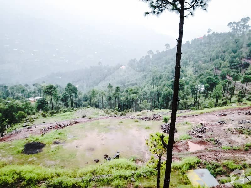 5 Marla Plot For Sale Urgent 5 Marla Plot For Sale Urgent