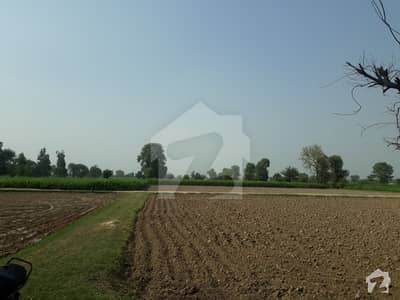 3 Acre ( Killa) Agricultural Land For Sale In Bedian ...
