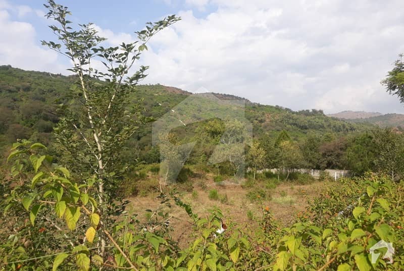 Simali Dam Road Land For Sale