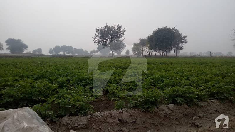 Agricultural Land For Sale On Sher Garh Road Mailsi