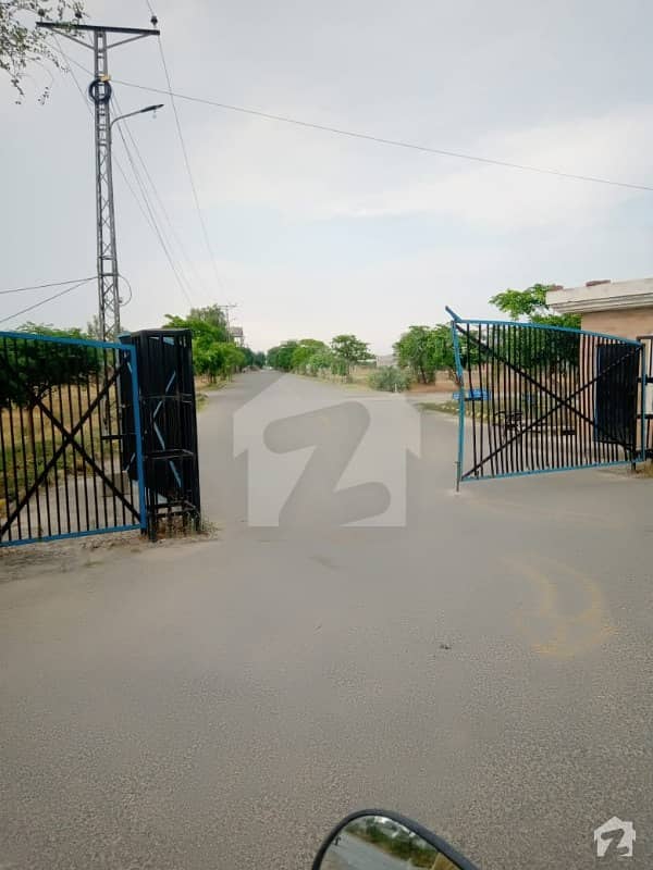 Five Marla Plot File For Sale In Government Transport Headquarters Cooperative Housing Society