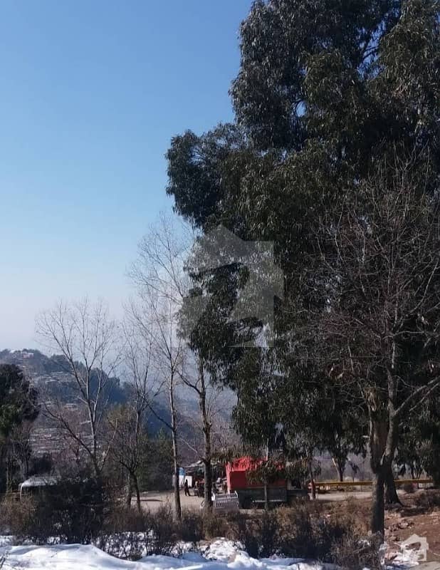 10 Marla Plot For Sale  In Murree Commercial