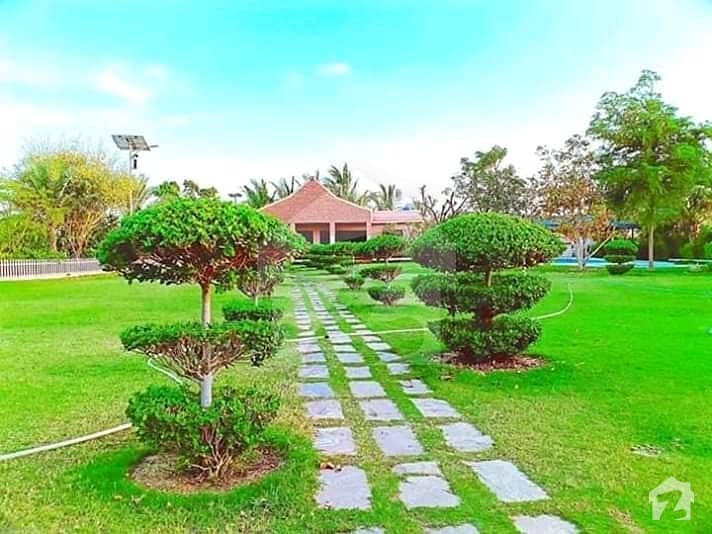 Green Farmhouse GulshaneIqbal, GulshaneIqbal Town, Karachi