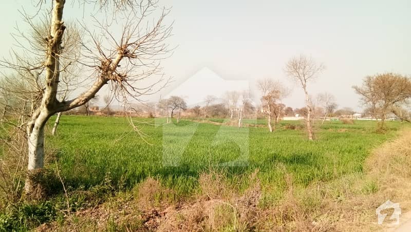 1500 Acre Agriculture Nehri Land Near Layyah
