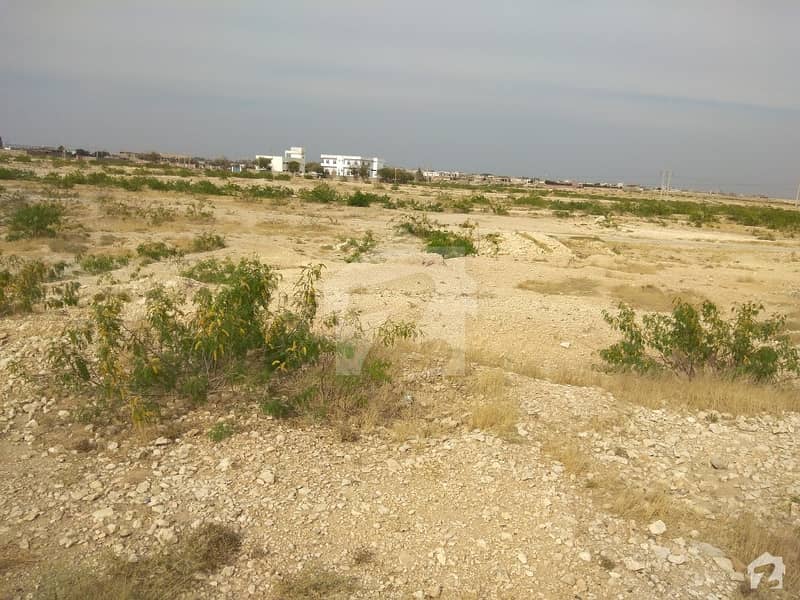 600 Sq Yard Residential Plot Available For Sale At Sindh University Employees Housing Society Jamshoro